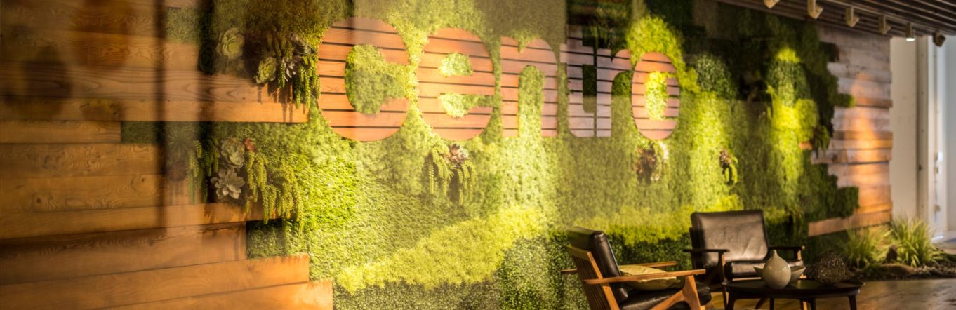 Centro logo printed on a green wall