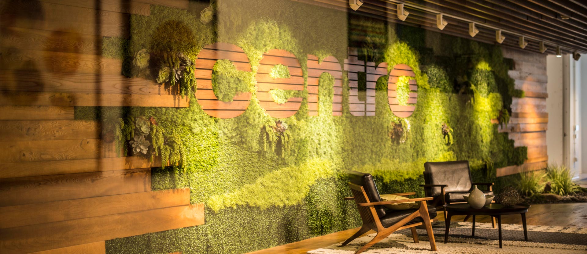 Centro logo printed on a green wall