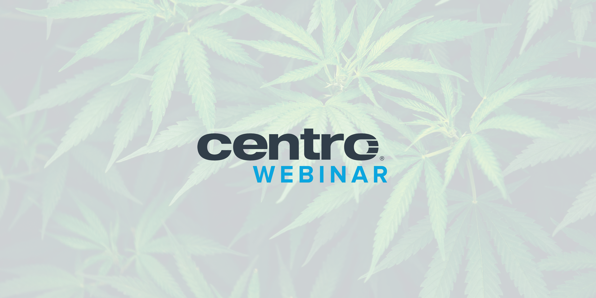 Video popup photograph