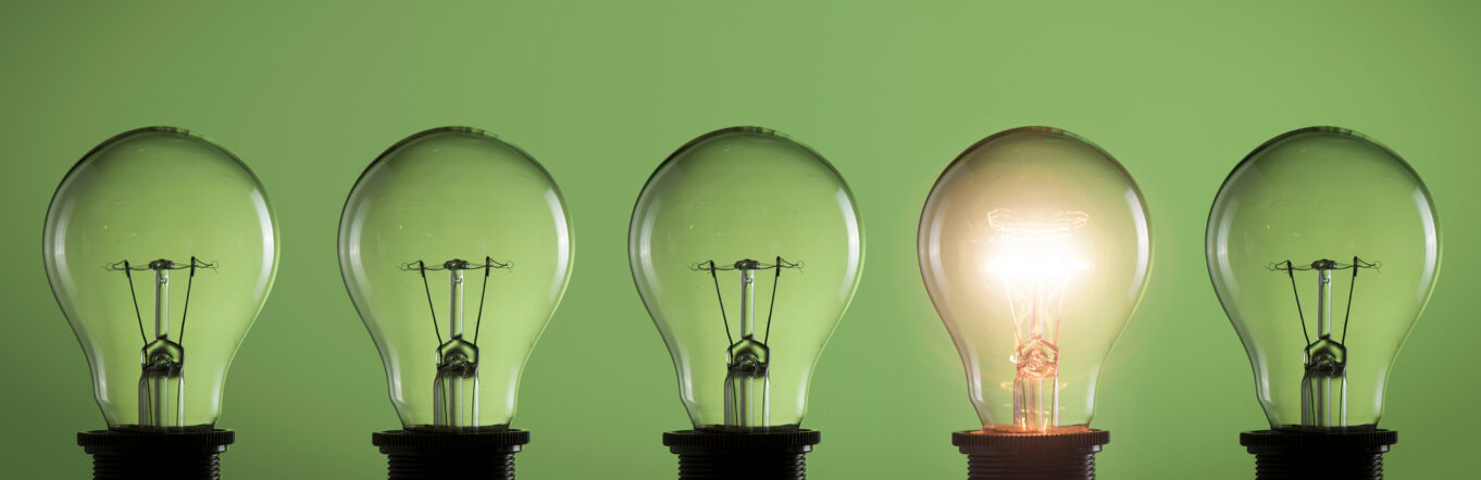 Light bulbs on green background