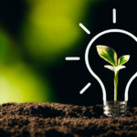 Light bulb with growing plant.